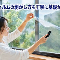 画像546